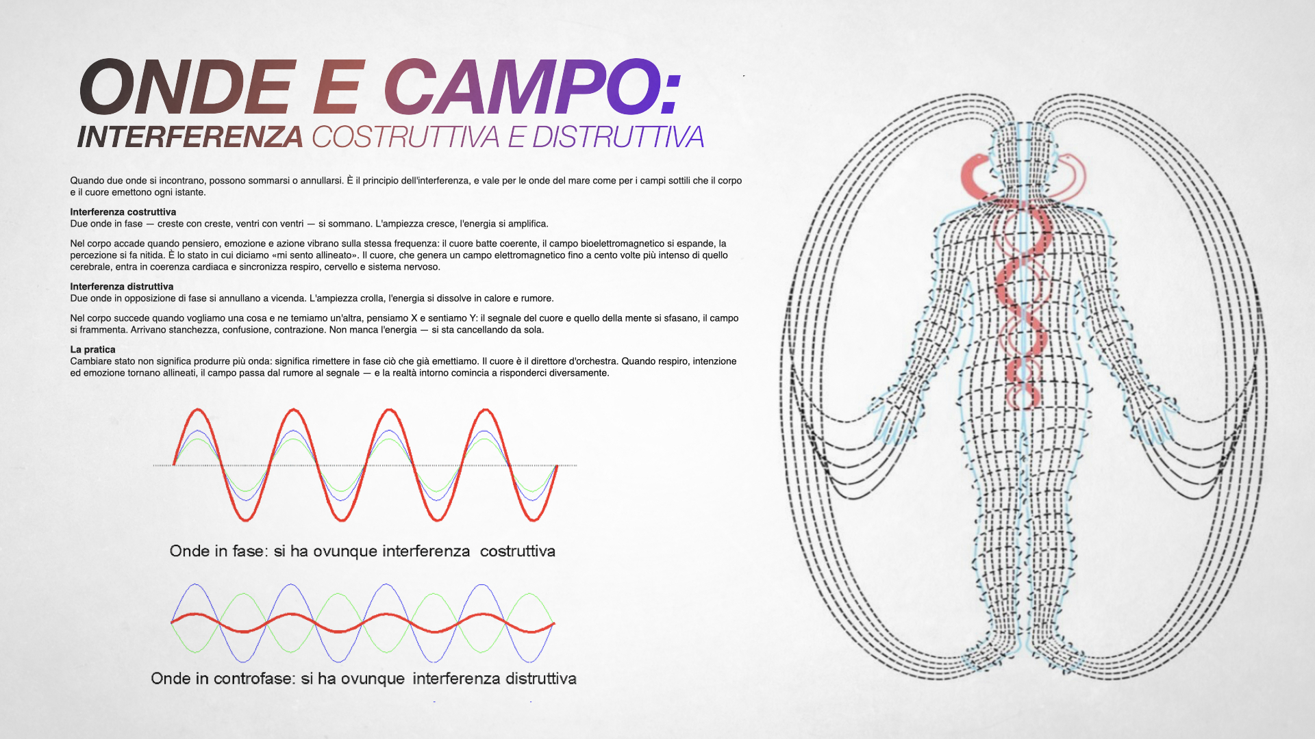 Il campo energetico · diagramma