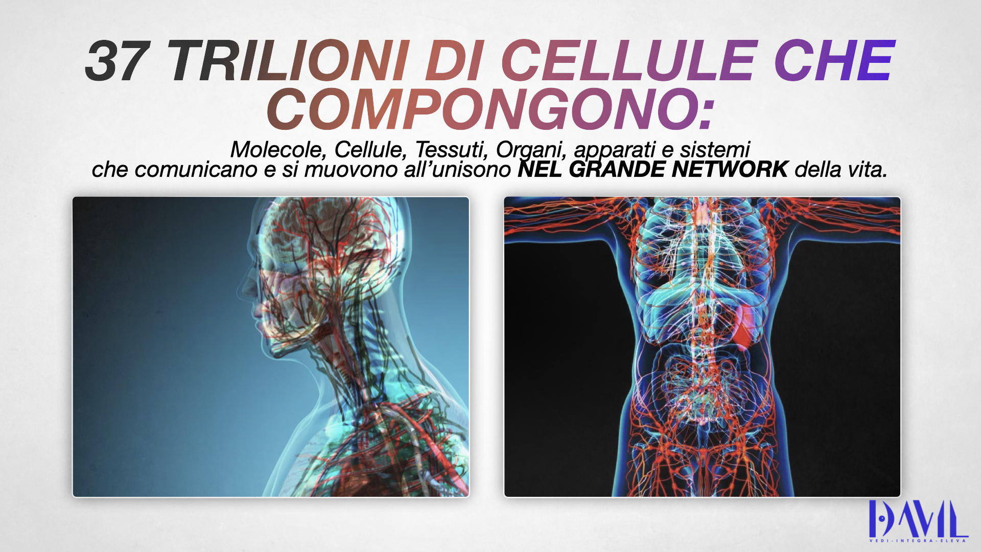 Il corpo come network · 37 trilioni di cellule